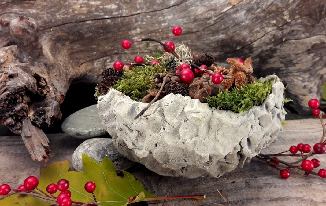 Herbstliche Betonschale #2867