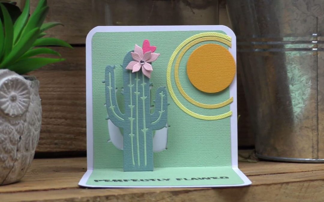 Biglietto pop-up con cactus #3051