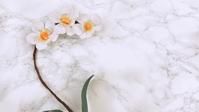 Orchidea di carta #3056