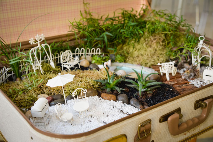 Miniaturgarten #3074