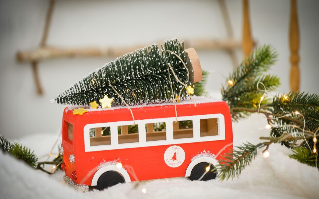 Weihnachtlicher Fuhrpark #3204
