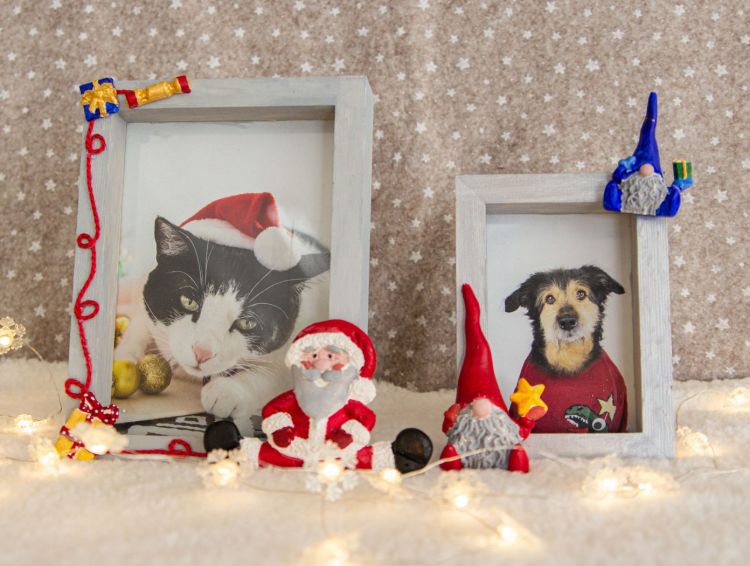 Weihnachtlicher Fotorahmen #3234