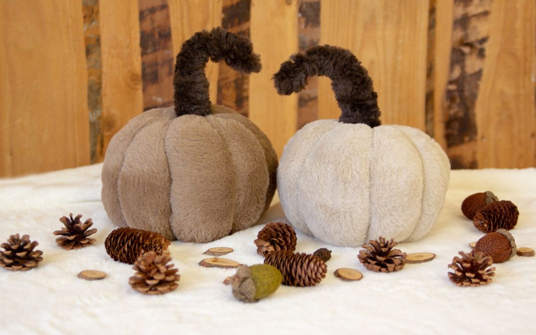 Zucca morbidosa #3555